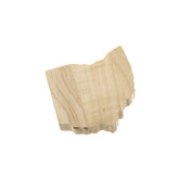 Ohio Bottle Opener/Coaster