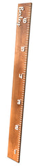 Growth Chart Ruler